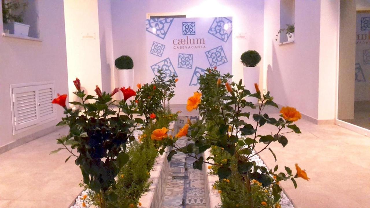 Caelum Case Vacanza Трапані Екстер'єр фото